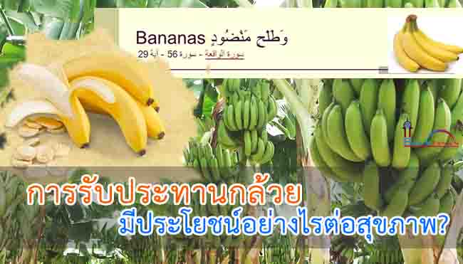 การรับประทานกล้วยมีประโยชน์อย่างไรต่อสุขภาพ?
