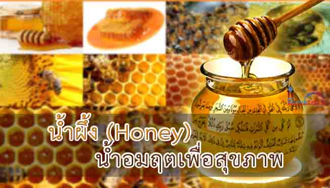 น้ำผึ้ง (Honey) น้ำอมฤตเพื่อสุขภาพ