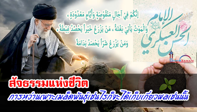 สัจธรรมแห่งชีวิต การหว่านเพาะเมล็ดพันธุ์เช่นไรก็จะได้เก็บเกี่ยวผลเช่นนั้น