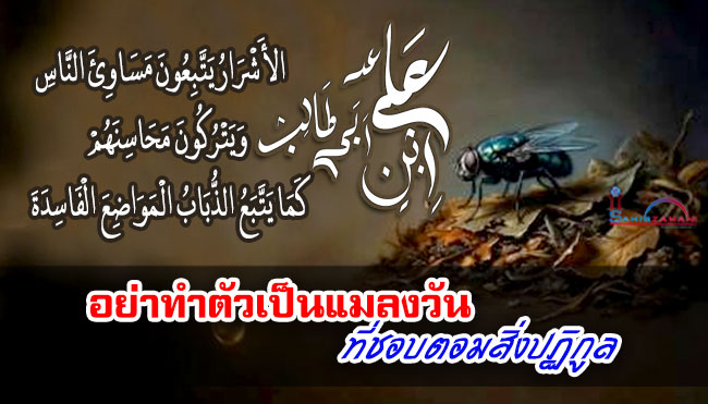 อย่าทำตัวเป็นแมลงวันที่ชอบตอมสิ่งปฏิกูล