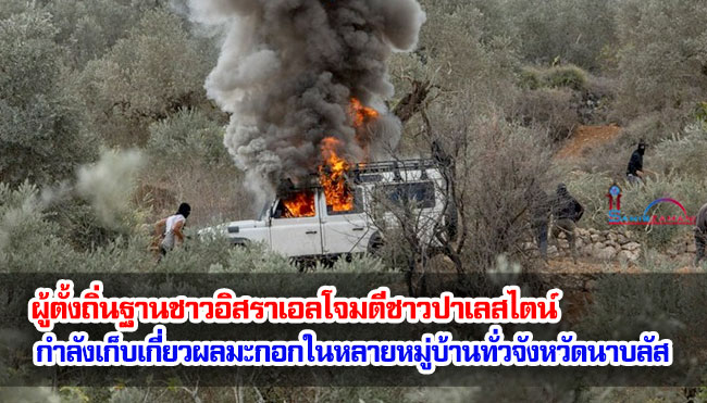 ผู้ตั้งถิ่นฐานชาวอิสราเอลโจมตีชาวปาเลสไตน์ที่กำลังเก็บเกี่ยวผลมะกอกในหลายหมู่บ้านทั่วจังหวัดนาบลัส